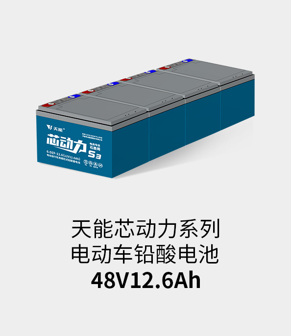 710公海线路检测电池48v12ah