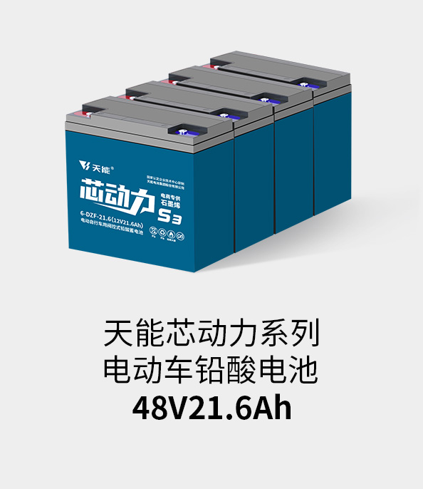 710公海线路检测电池48v20ah
