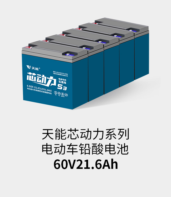 710公海线路检测电池60v20ah