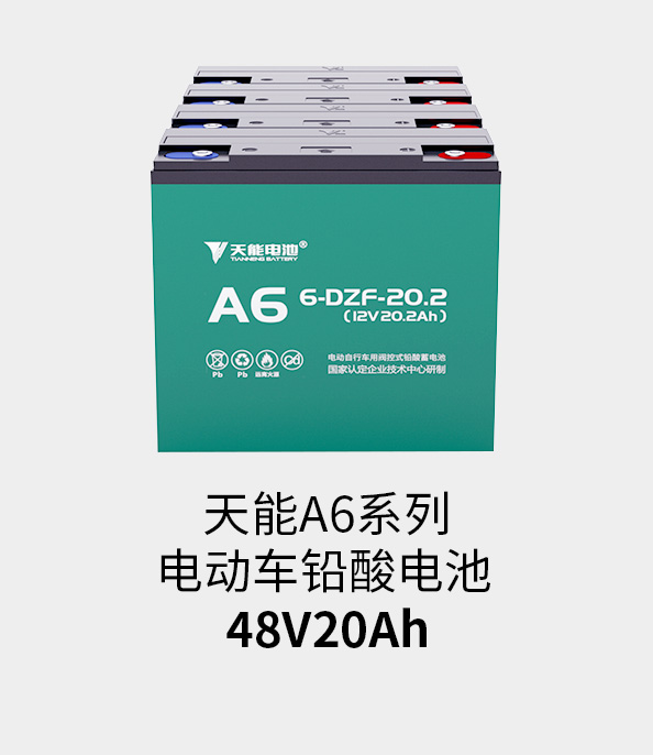 710公海线路检测电池48v20ah