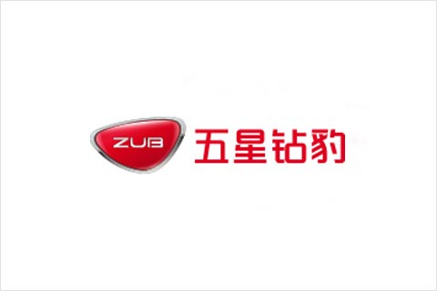 710公海线路检测电池合作伙伴 五星钻豹电动车
